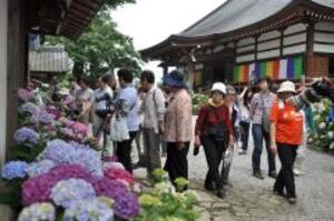 能護寺(あじさい寺)